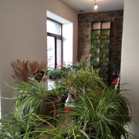 Aia Kazbegi Hotel Ngoại thất bức ảnh